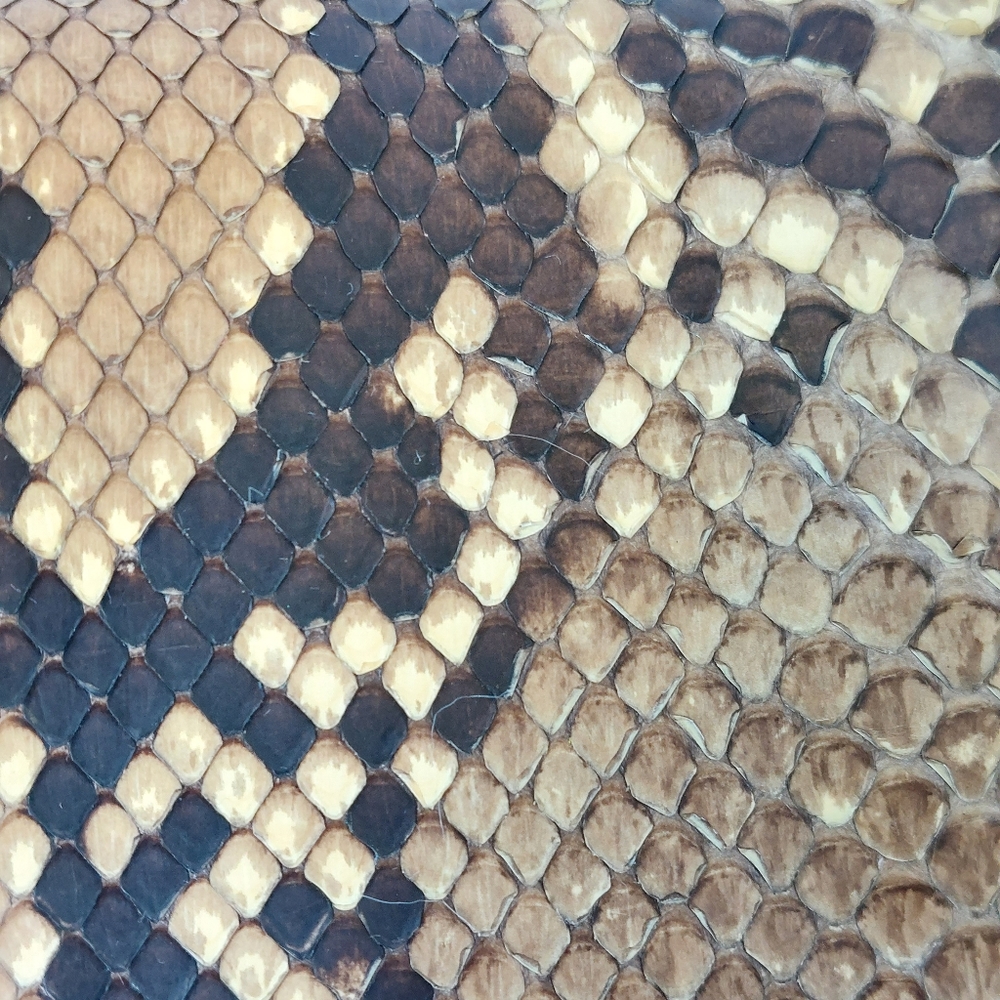 Python/Snake Print Wallet - Picture 2 of 4